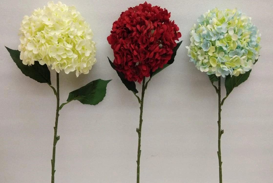 Hydrangea stick cut Design